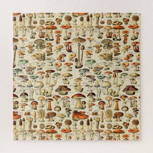 Mushroom Collection Jigsaw Puzzle