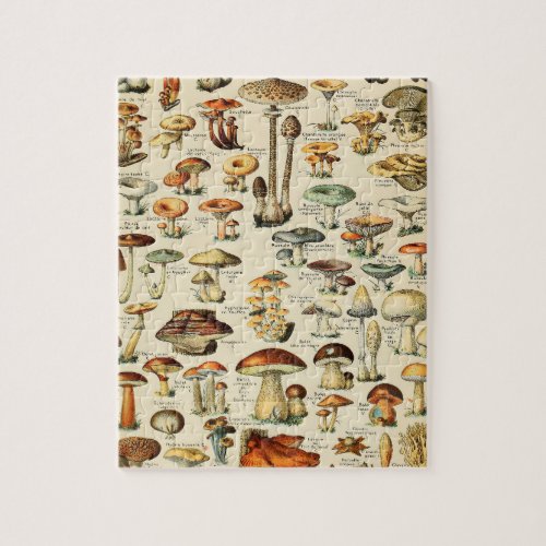 Mushroom Collection Jigsaw Puzzle