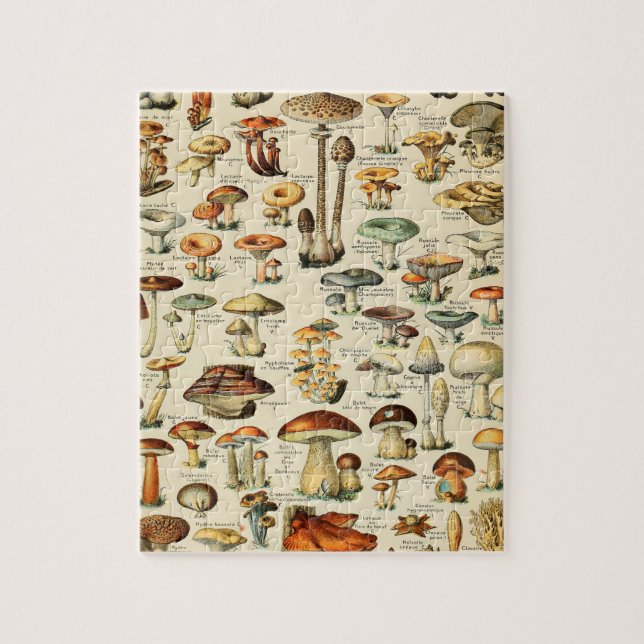 Mushroom Collection Jigsaw Puzzle (Vertical)