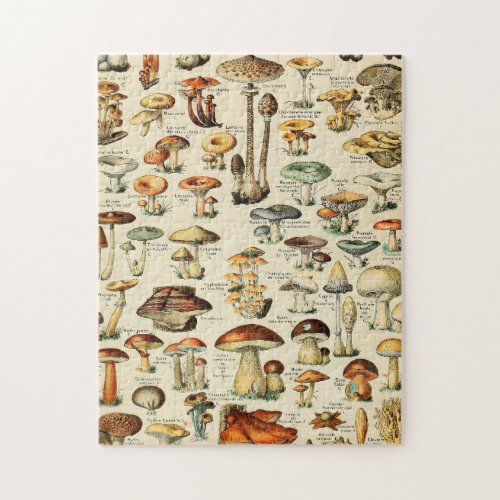 Mushroom Collection Jigsaw Puzzle