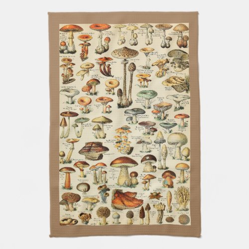 Mushroom Collection Kitchen Towel