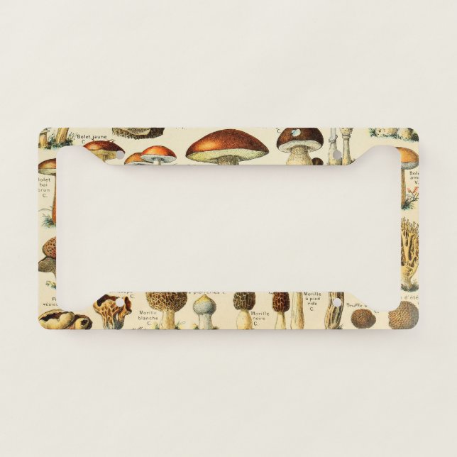 Mushroom Collection  License Plate Frame (Front)