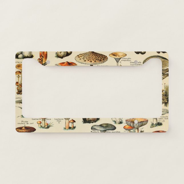 Mushroom Collection  License Plate Frame (Front)