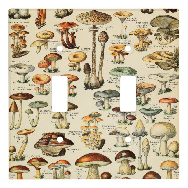 Mushroom Collection   Light Switch Cover (Front)