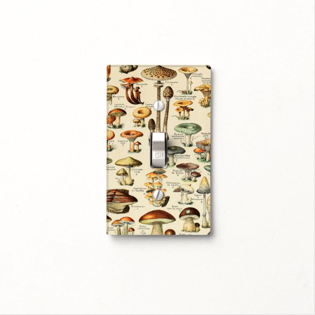 Mushroom Collection    Light Switch Cover (In Situ)