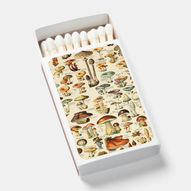 Mushroom Collection   Matchboxes (Front Open)