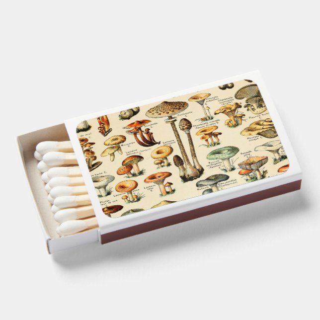 Mushroom Collection   Matchboxes (Front Open)