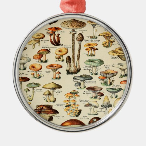 Mushroom Collection    Metal Ornament