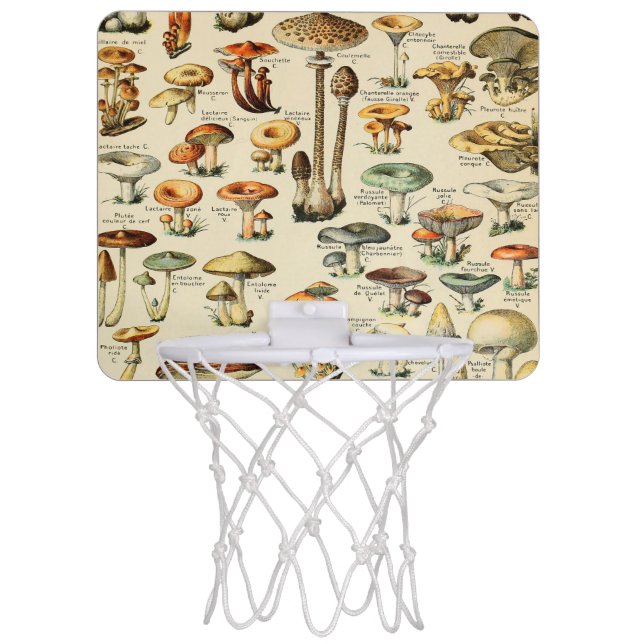 Mushroom Collection    Mini Basketball Hoop (Front)
