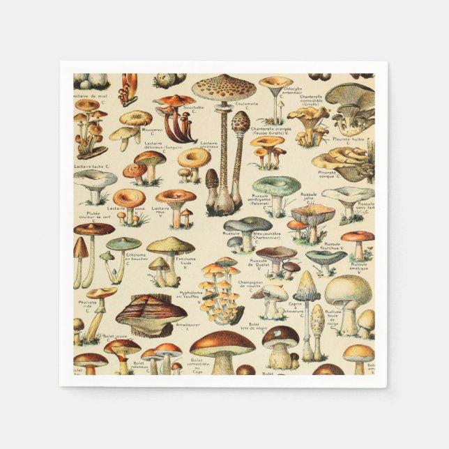 Mushroom Collection  Napkins (Front)