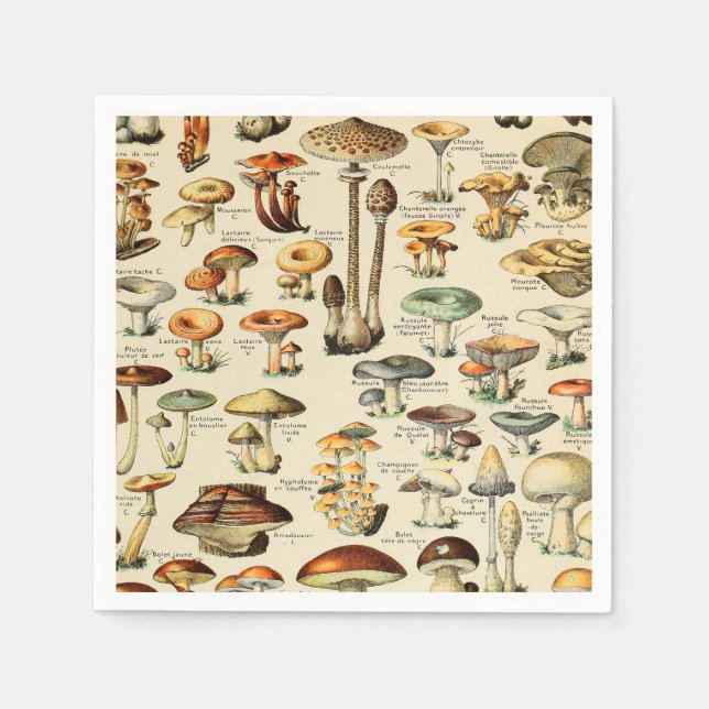 Mushroom Collection    Napkins (Front)
