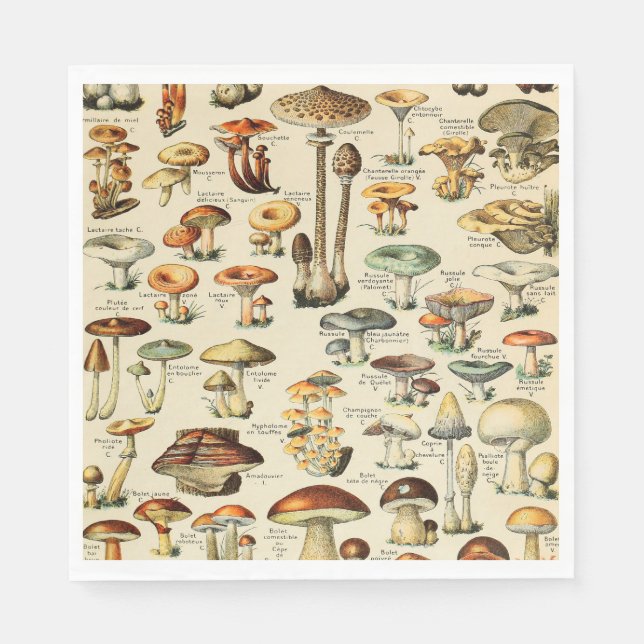 Mushroom Collection  Napkins (Front)