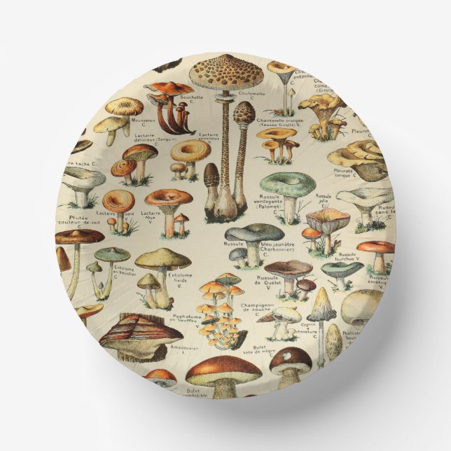 Mushroom Collection   Paper Bowls (Front)