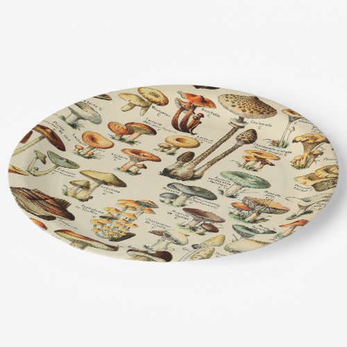 Mushroom Collection  Paper Plate