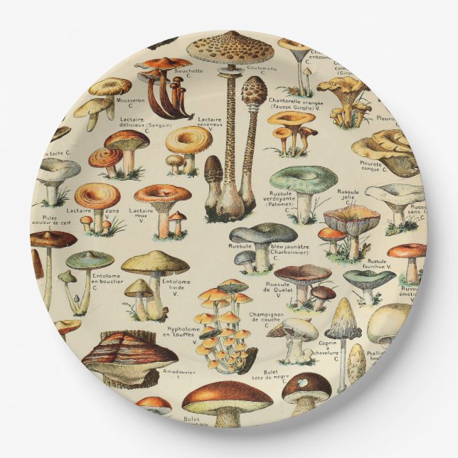 Mushroom Collection  Paper Plates (Front)