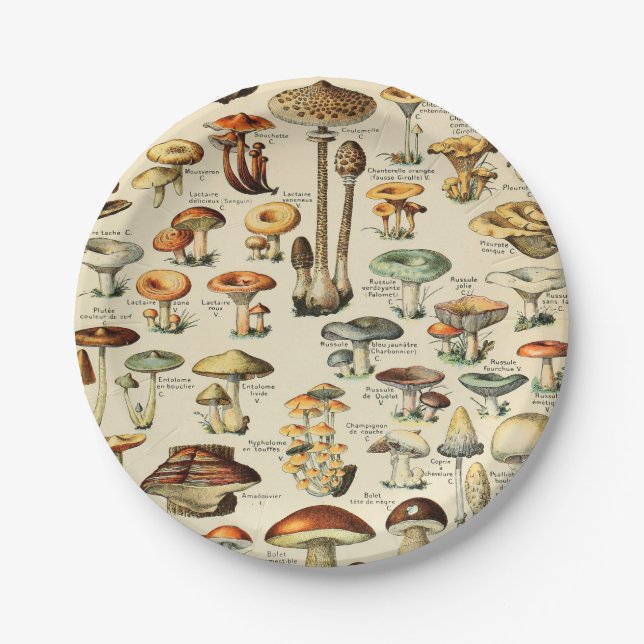 Mushroom Collection Paper Plates (Front)