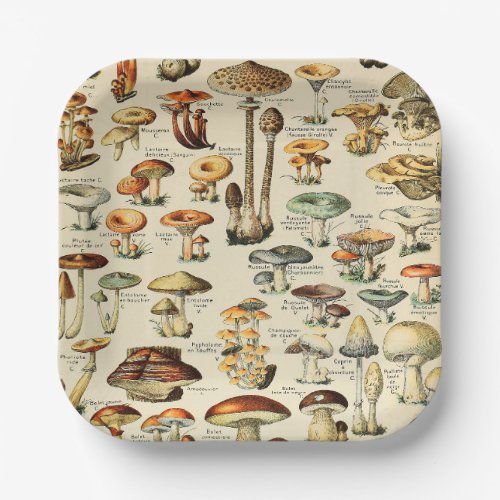 Mushroom Collection  Paper Plates