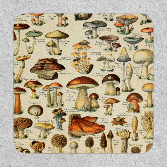 Mushroom Collection     Patch (Front)