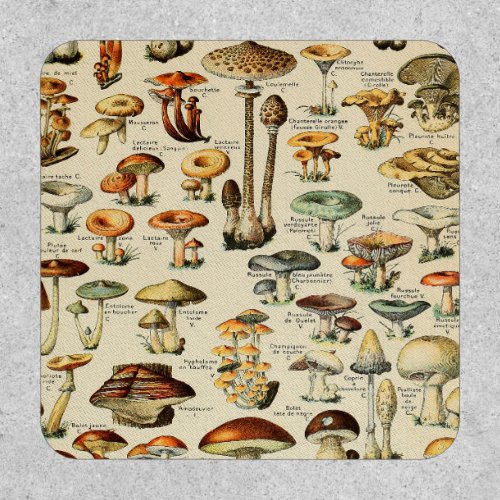 Mushroom Collection     Patch