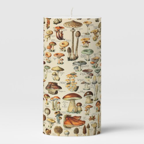 Mushroom Collection  Pillar Candle
