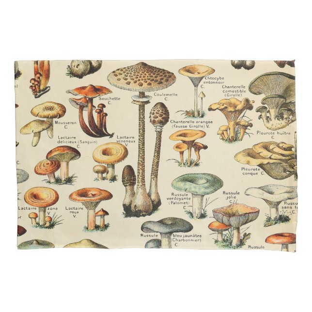 Mushroom Collection  Pillow Case (Front)