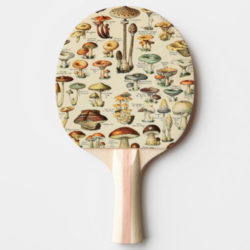 Mushroom Collection   Ping Pong Paddle