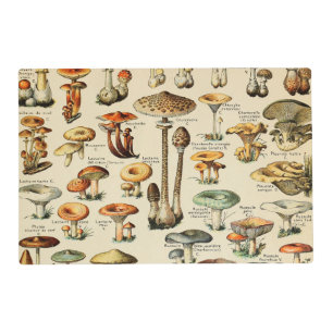 Mushroom Collection Placemat