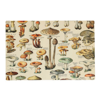 Mushroom Collection Placemat