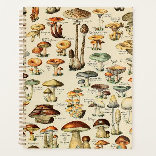 Mushroom Collection  Planner