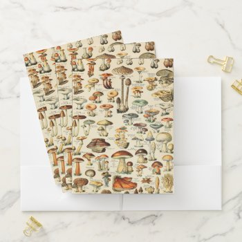 Mushroom Collection   Pocket Folder by colorfulworld at Zazzle