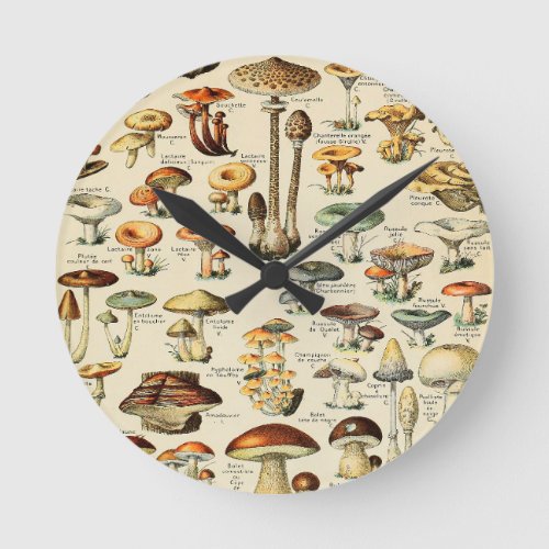 Mushroom Collection   Round Clock
