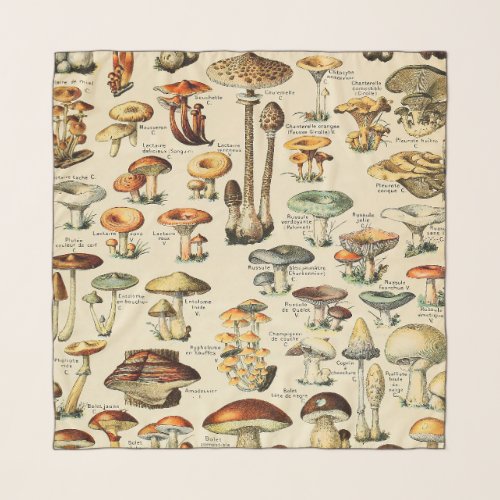 Mushroom Collection  Scarf