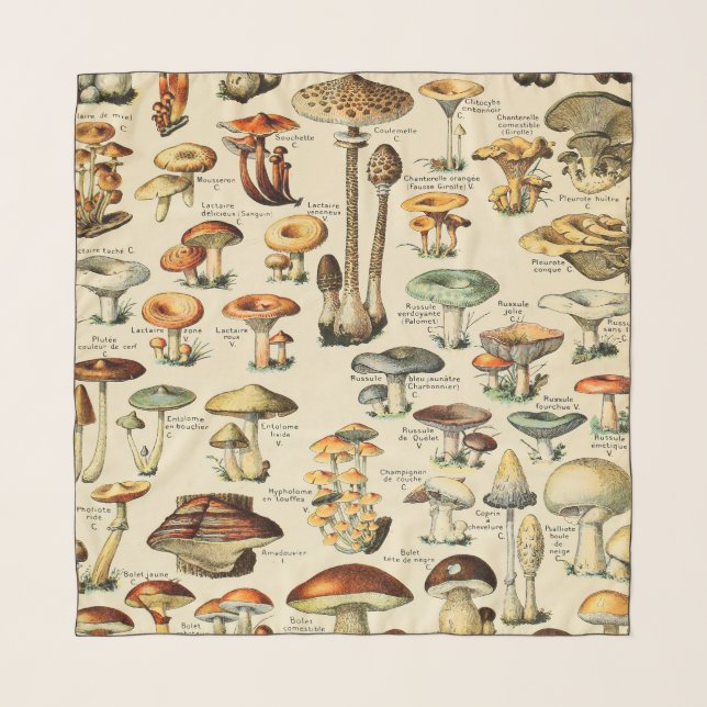 Mushroom Collection  Scarf (Front)