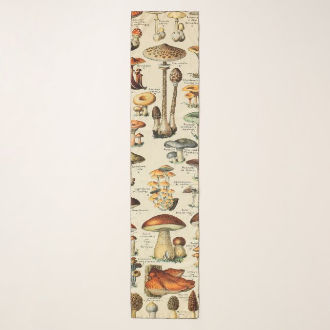 Mushroom Collection  Scarf (Front)