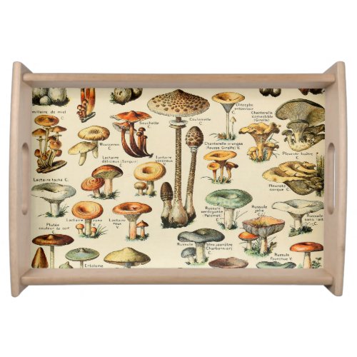 Mushroom Collection     Serving Tray