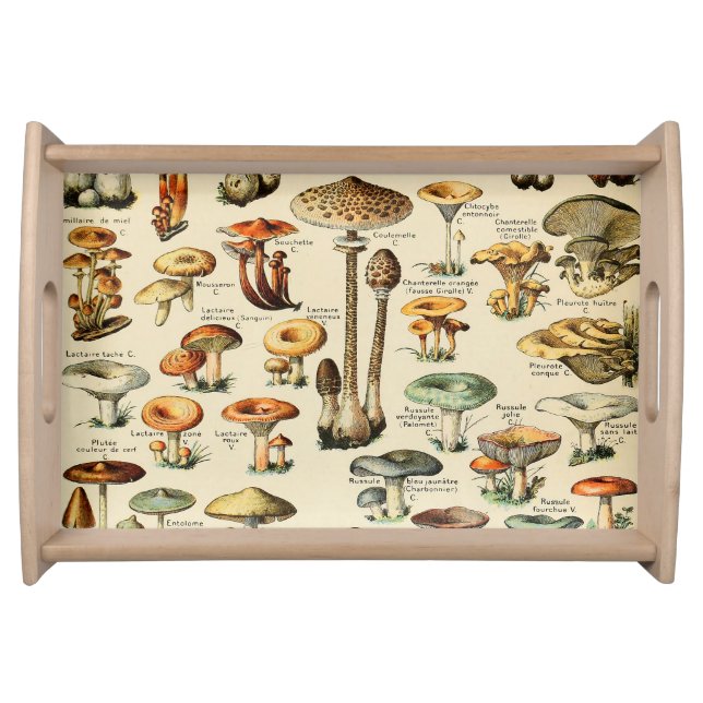 Mushroom Collection     Serving Tray (Front)