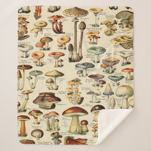 Mushroom Collection   Sherpa Blanket