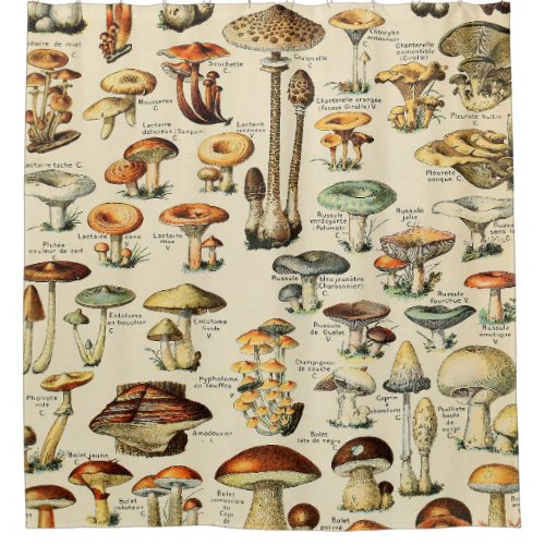Mushroom Collection  Shower Curtain