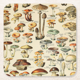 Mushroom Collection Square Paper Coaster