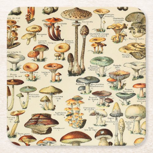 Mushroom Collection  Square Paper Coaster