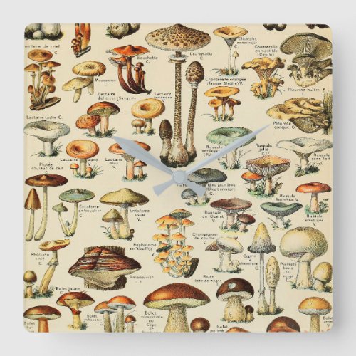 Mushroom Collection  Square Wall Clock