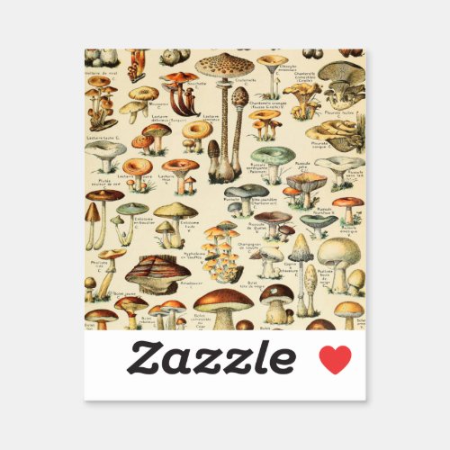 Mushroom Collection  Sticker