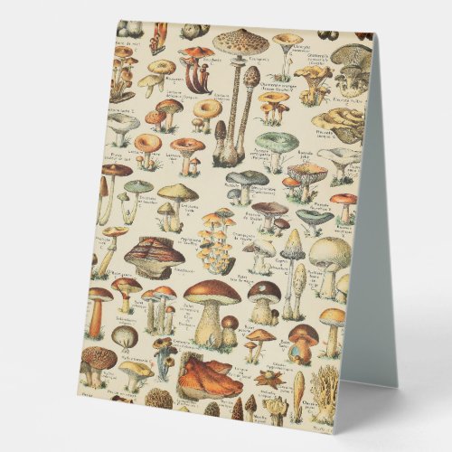 Mushroom Collection   Table Tent Sign