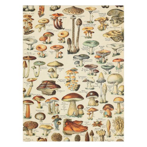 Mushroom Collection    Tablecloth