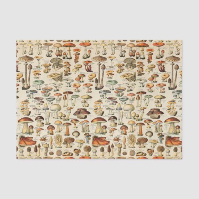Mushroom Collection  Tissue Paper (Front)