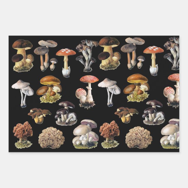 Mushroom Cottage Core Wrapping Paper (Front)