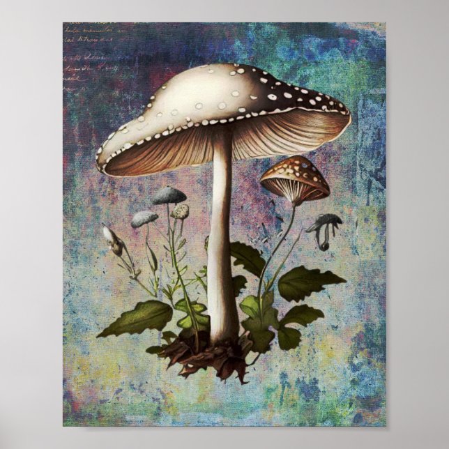 Mushroom, Digital Vintage Botanical Mushroom Poster (Front)
