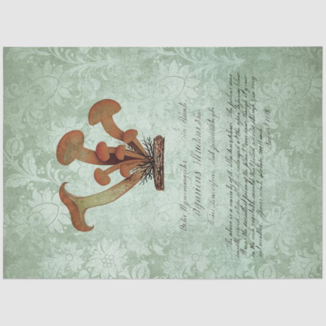 Mushroom Ephemera Design Series #2 Tissue Paper (Front)