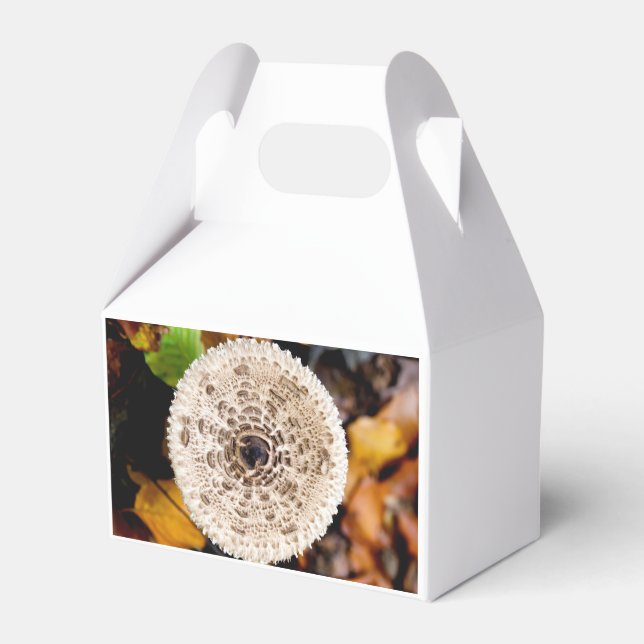 Mushroom Favor Boxes (Back Side)