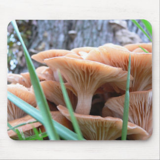 Mushroom Forest Card Mouse Pad